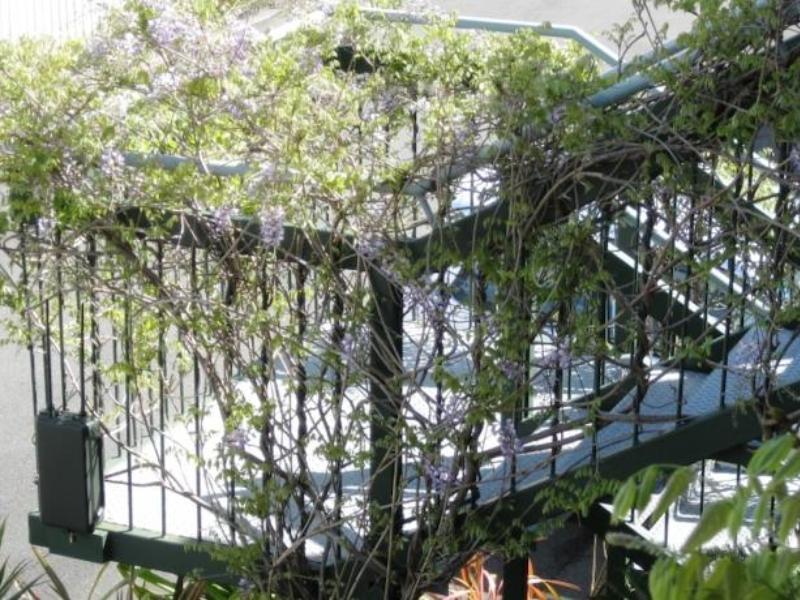 Westport Spa Motel Luaran gambar